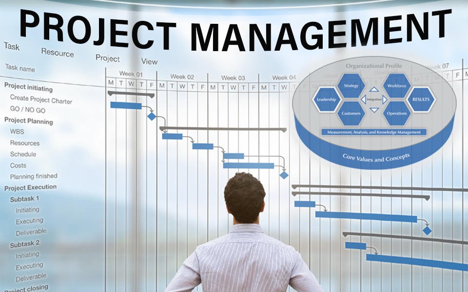 Project Management Leaders