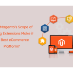 Does Magento’s Scope of Adding Extensions Make it the Best eCommerce Platform?