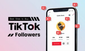 The Art and Science of TikTok Followers: Strategies for Authentic Growth in a Rapidly Evolving Social Media Landscape