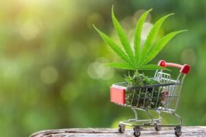Exploring Weed Delivery: Convenient Cannabis Access with Uber Weed Shops