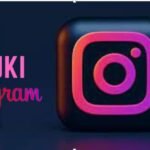 Picuki: Taking Instagram Editing to a Higher Level