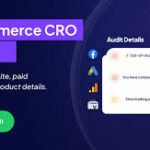 From Clicks to Conversions: How an Ecommerce PPC Audit Enhances Performance