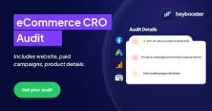 From Clicks to Conversions: How an Ecommerce PPC Audit Enhances Performance