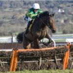 The favourites for the Champion Hurdle