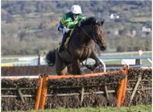 The favourites for the Champion Hurdle