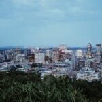 Which Types Of Investment Is Best In Canada For Citizenship?