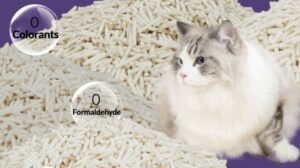 The Eco-Friendly Choice: Tofu Cat Litter