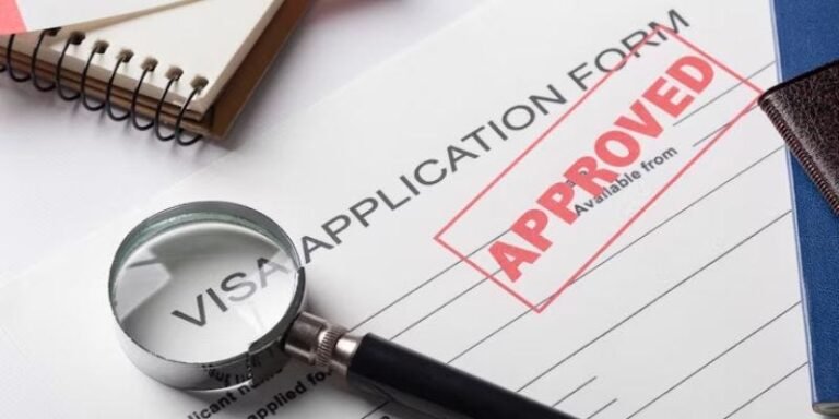 Importance of Visa Consultants for First-Time Visa Applicants