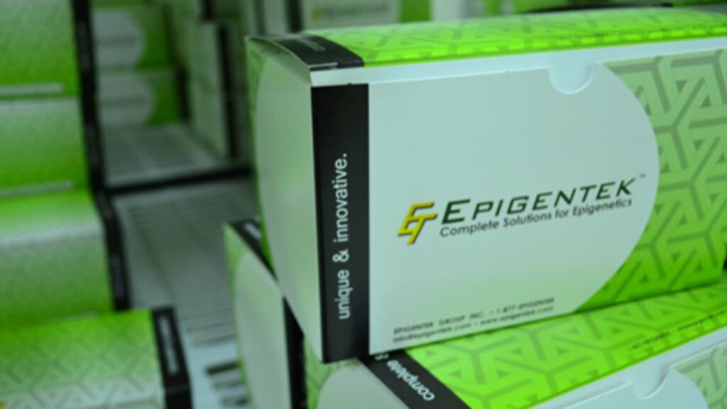 https://news.epigentek.com/f/37 https://news.epigentek.com/f/37