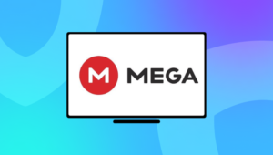 link: https://mega.nz/folder/w0bvrkxr