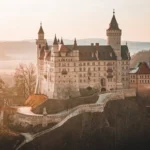 Ninexteresinho: Bridging Humor and Creativity