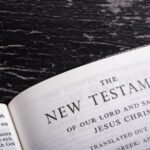link: https://www.theredheadedhostess.com/product-category/97/new-testament-97/