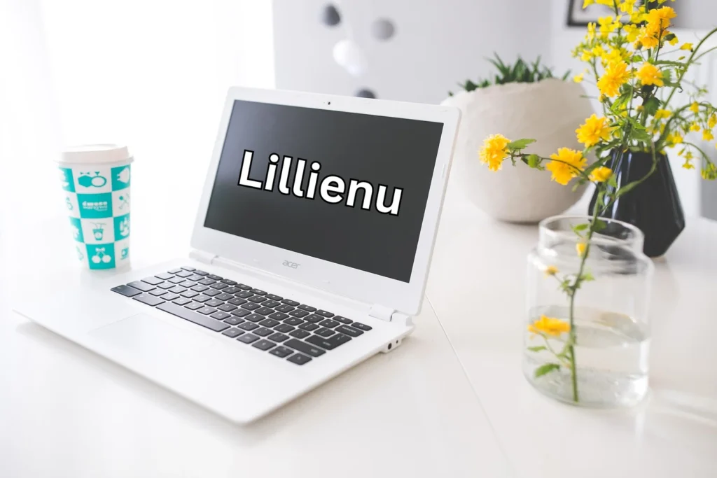 How can I contact Lillienu? How can I contact Lillienu?