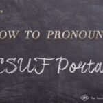 What services are available in the CSUF Portal?