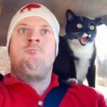 Is tynkrof.xyz a legitimate website?