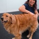 Who owns tynkrof.xyz?