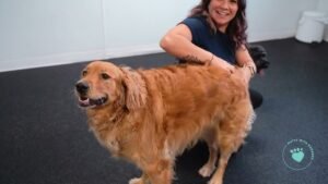 Who owns tynkrof.xyz?