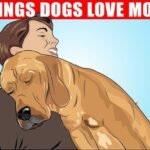 Is tynkrof.xyz safe to use?