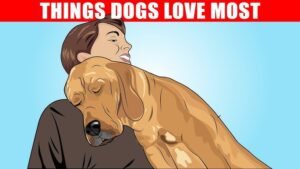 Is tynkrof.xyz safe to use?