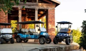 ChecWifeSwap – Fantasy or Reality?