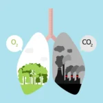 Climate Tech in Action: Inside Respirer’s Air Quality Revolution