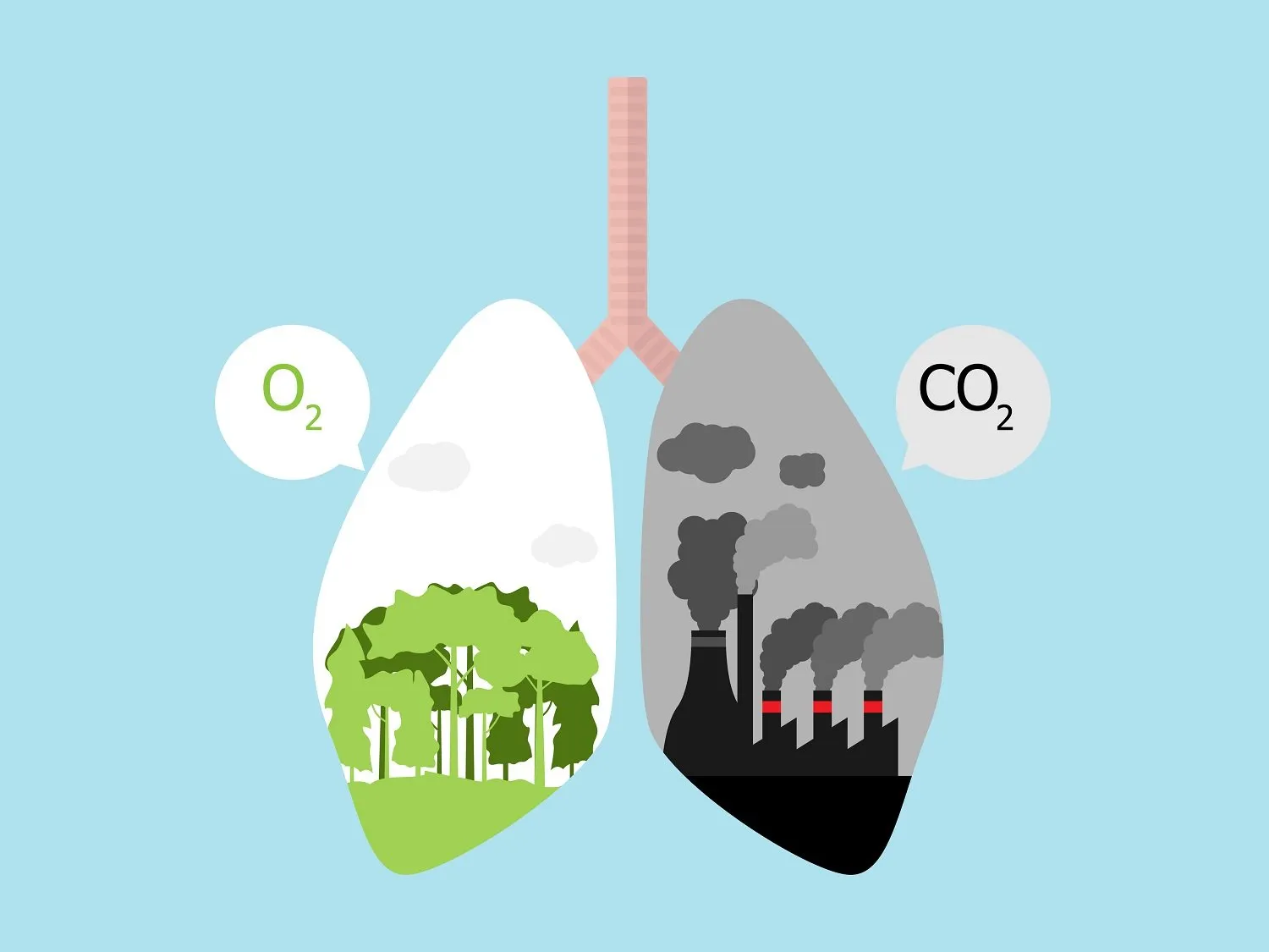 Climate Tech in Action: Inside Respirer’s Air Quality Revolution