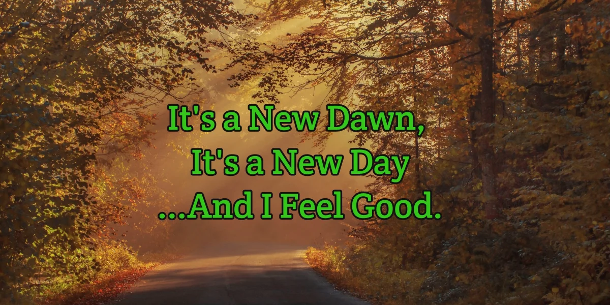 Song It’s A New Dawn It’s A New Day Meaning And Cultural Significance